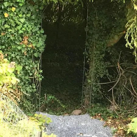 Le Paradis Mosan *